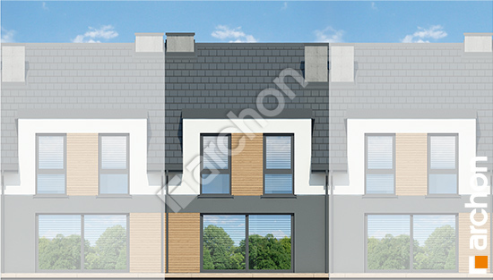 Дворовой фасад Дом в ривиях 9 (ГС)