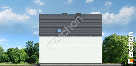 Боковой фасад Дом в куркуме 4