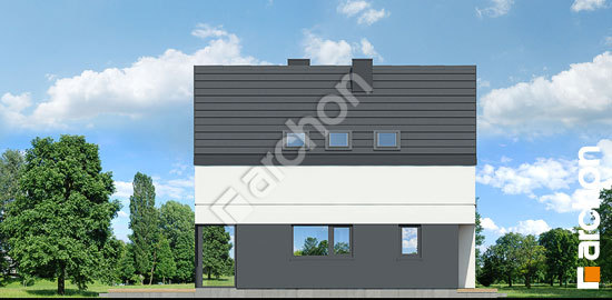 Боковой фасад Дом в куркуме 4