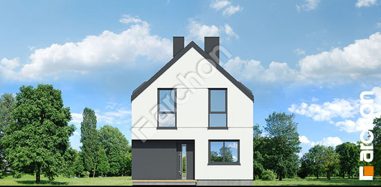 Передній фасад Будинок в куркумі 4