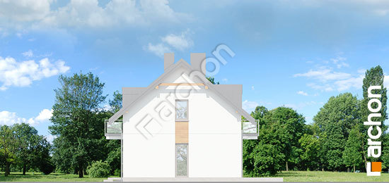 Бочний фасад Будинок в хімонантах (Б) вер. 2