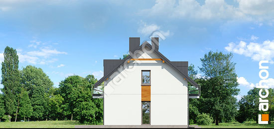 Боковой фасад Дом в химонантах (Б) вер. 2