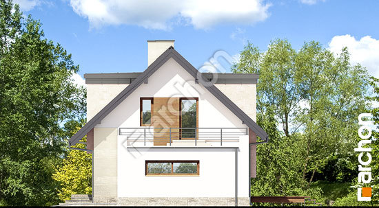 Боковой фасад Дом в амариллисах 3 вер.2