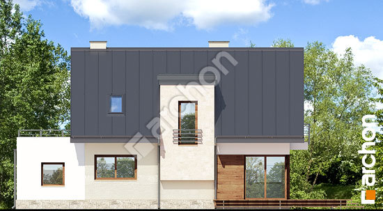 Дворовой фасад Дом в амариллисах 3 вер.2