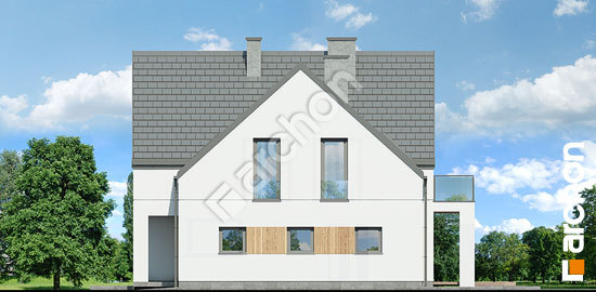 Боковой фасад Дом в аморфах