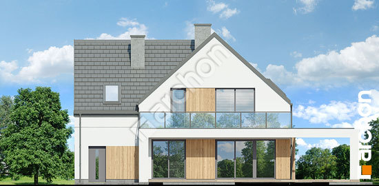 Дворовий фасад Будинок в аморфах