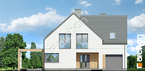 Передний фасад Дом в аморфах