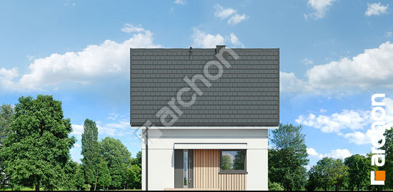 Передний фасад Летний домик на поляне