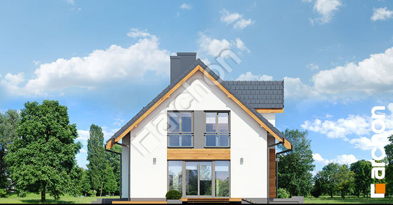 Бочний фасад Будинок в хлорофітумі 3 (А)