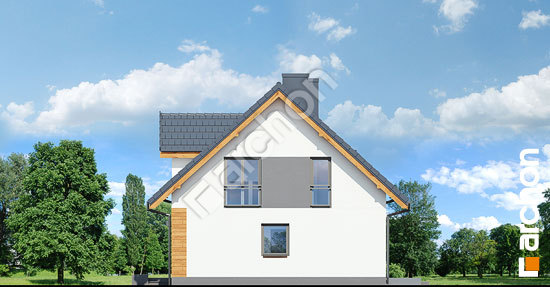 Боковой фасад Дом в хлорофитуме 3 (А)