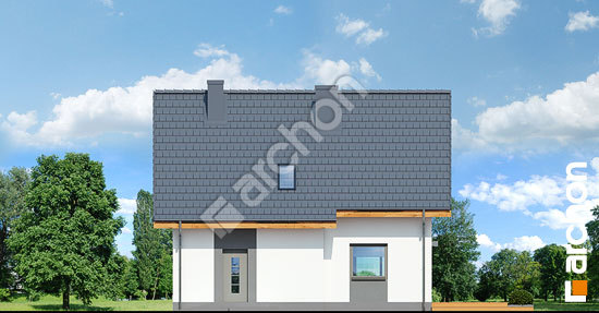 Дворовой фасад Дом в хлорофитуме 3 (А)