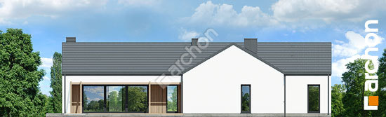 Дворовий фасад Будинок в драценах 2 (Г2)