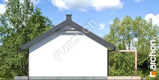 Бочний фасад Будинок в коручках 8 ВДЕ