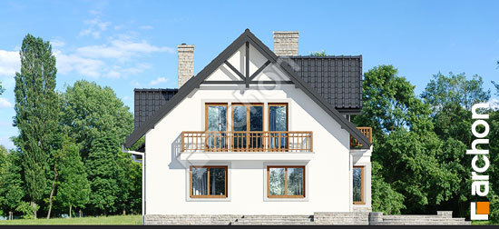 Дворовий фасад Будинок в очанці вep. 2 вер.2