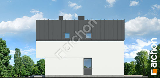 Бочний фасад Будинок в мускатах 2 (Р2)