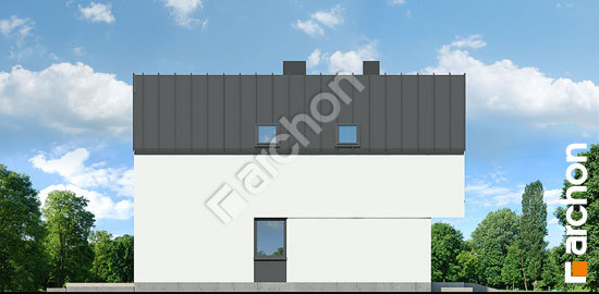 Бочний фасад Будинок в мускатах 2 (Р2)