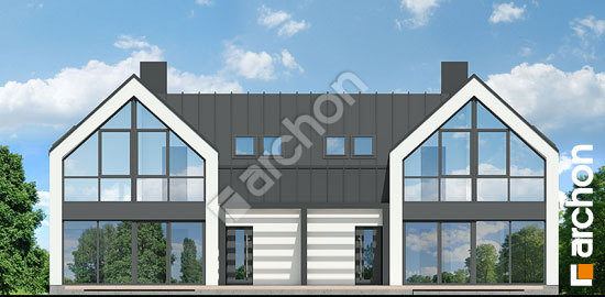 Дворовой фасад Дом в мускатах 2 (Р2)