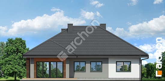 Дворовой фасад Дом под красной рябиной 15