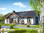 Проект будинку ARCHON+ Будинок в нерінах (Т) 