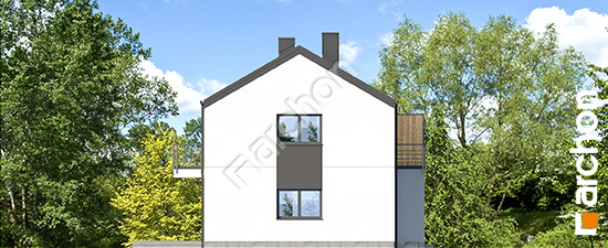 Бочний фасад Будинок в халезіях (Р2Б) вер.2 