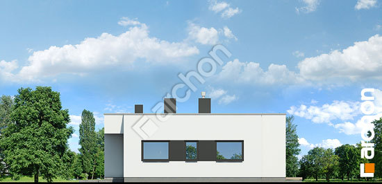 Боковой фасад Дом в пеперомиях