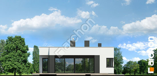 Боковой фасад Дом в пеперомиях