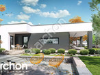 Проект будинку ARCHON+ Будинок в пепероміях додаткова візуалізація