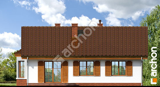 Дворовой фасад Дом в ежевике 2 вер.2