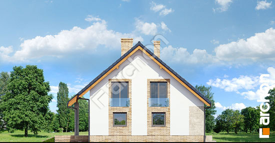 Боковой фасад Дом в айдаредах (Г2П)