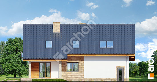 Дворовий фасад Будинок в айдаредах (Г2П)