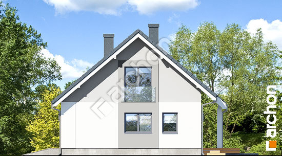 Бочний фасад Будинок в хризантемах (А)