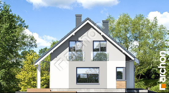 Бочний фасад Будинок в хризантемах (А)