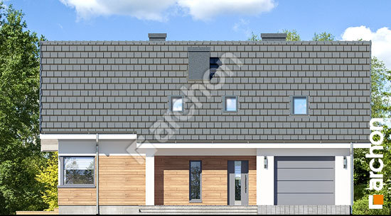 Передній фасад Будинок в хризантемах (А)