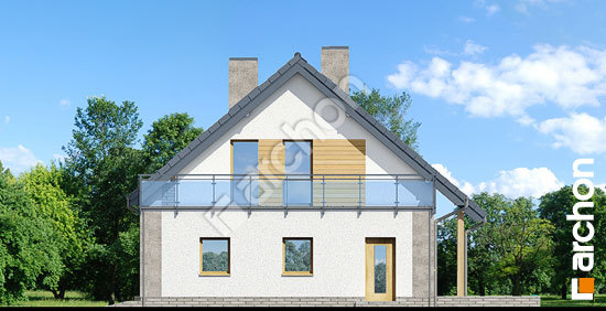 Бочний фасад Будинок в акантах 2