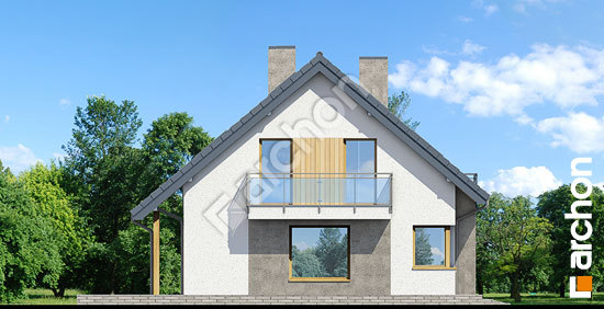 Боковой фасад Дом в акантах 2