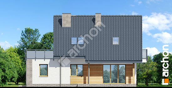 Дворовий фасад Будинок в акантах 2