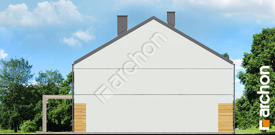 Бочний фасад Будинок під гінко 12 (ГБА)