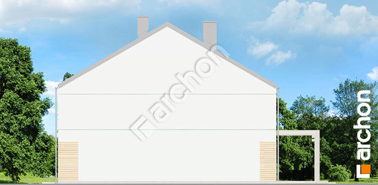 Боковой фасад Дом под гинко 12 (ГБА)