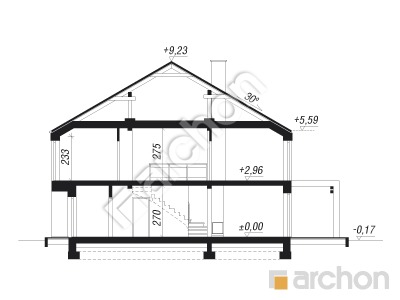 Проєкт будинку ARCHON+ Будинок під гінко 12 (ГБА) Розріз будинку
