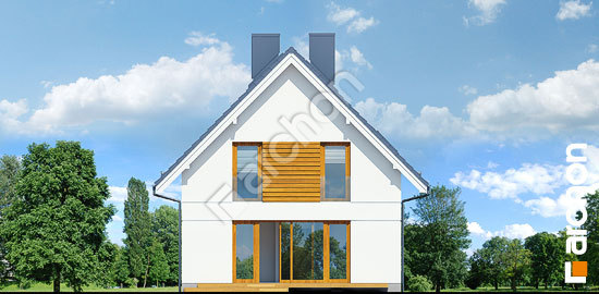 Дворовий фасад Будинок під лімбами