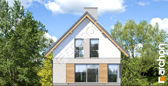 Дворовий фасад Будинок на пагорбі (Н)