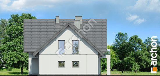 Бочний фасад Будинок в аморфах 3 (Г2)