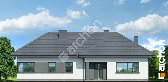 Передний фасад Дом в райках