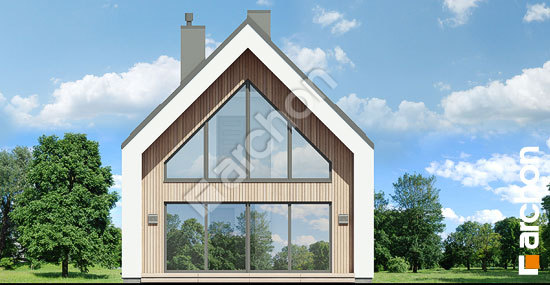 Дворовий фасад Будинок в папаверах 