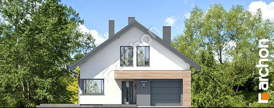 Передній фасад Будинок в бетуліях 2