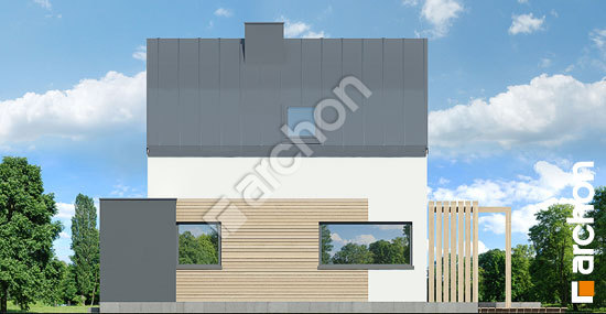 Боковой фасад Летний домик в голокучнике