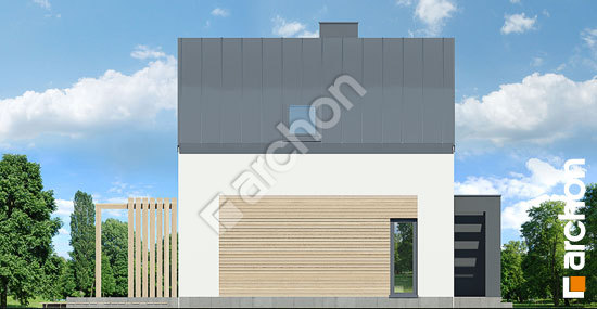 Боковой фасад Летний домик в голокучнике