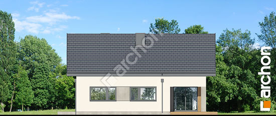 Дворовий фасад Будинок в ренклодах 19 (Г2)