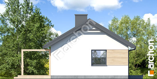 Боковой фасад Дом в коручках 8