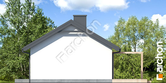 Боковой фасад Дом в коручках 8